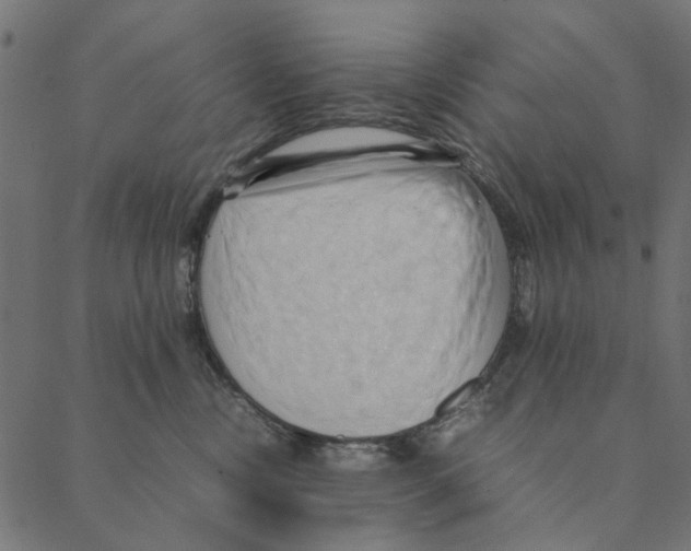 X0000087390378200705181313