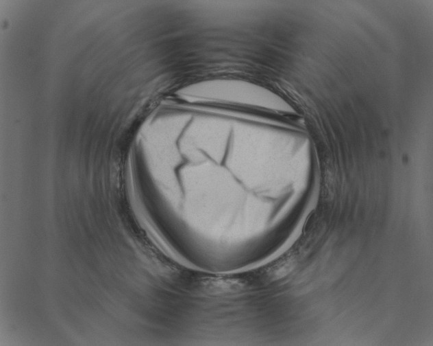 X0000087390379200705181313