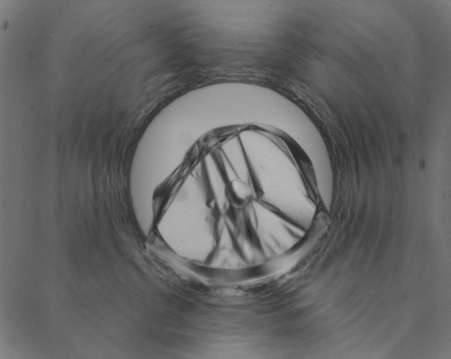 X0000087390380200705181313