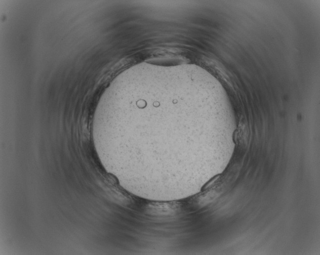 X0000087390381200705181313