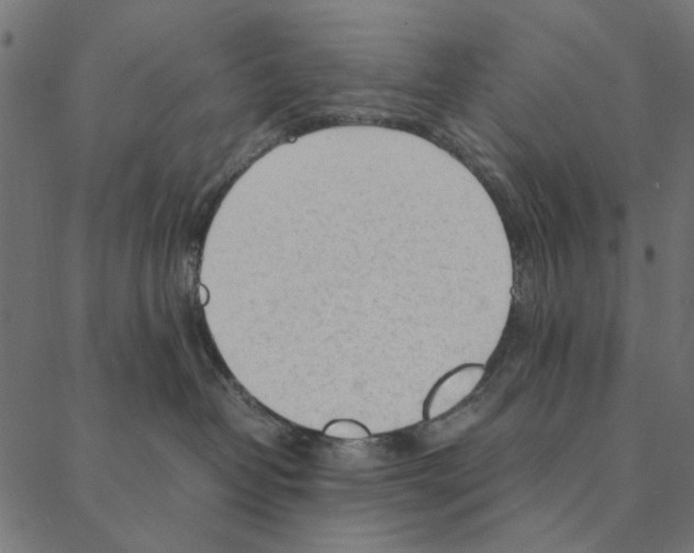 X0000087390382200705181313