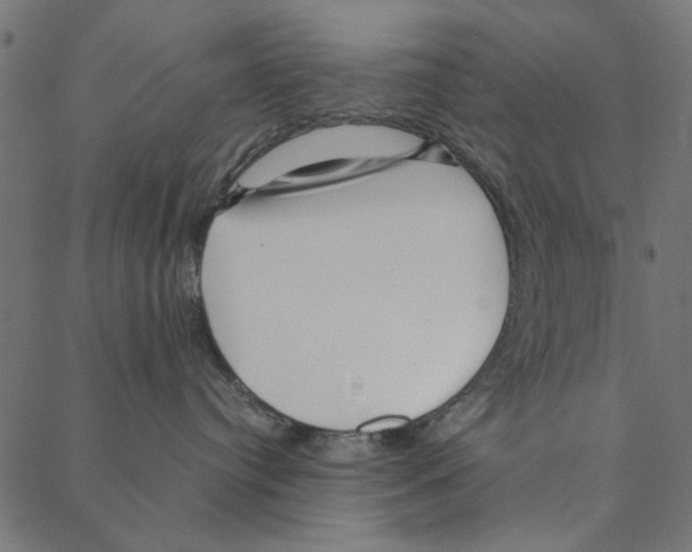 X0000087390384200705181313