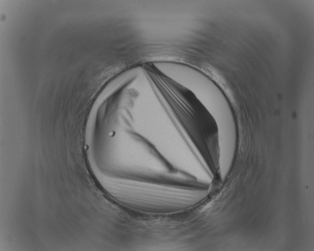 X0000087390385200705181313