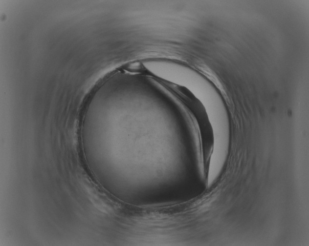 X0000087390387200705181312