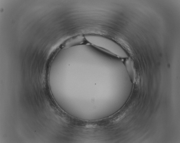 X0000087390388200705181312