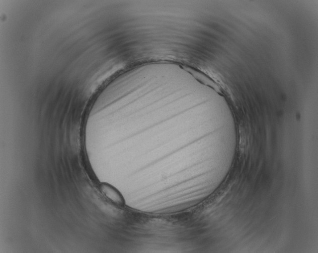 X0000087390390200705181312