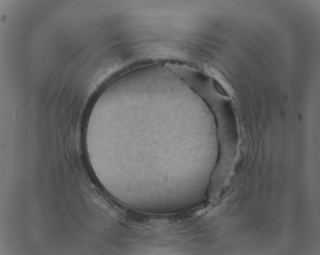 X0000087390391200705181312