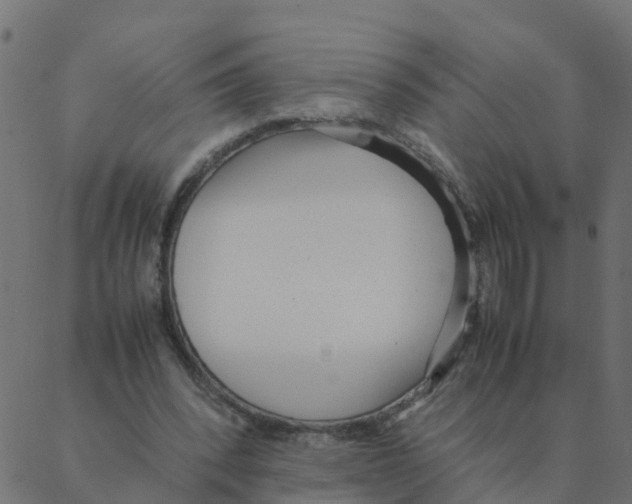 X0000087390392200705181312