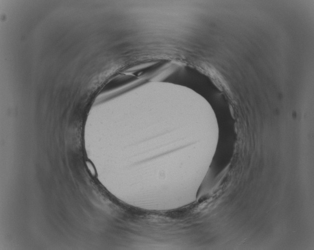 X0000087390393200705181312