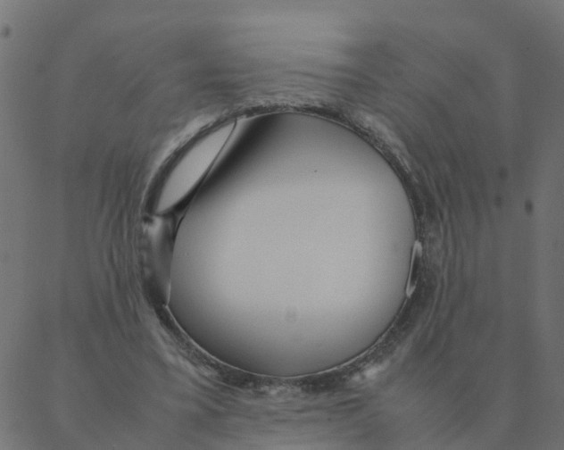 X0000087390395200705181312