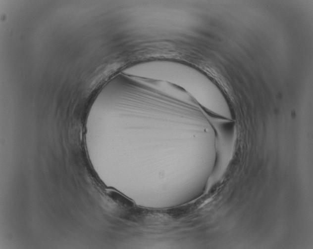 X0000087390397200705181312