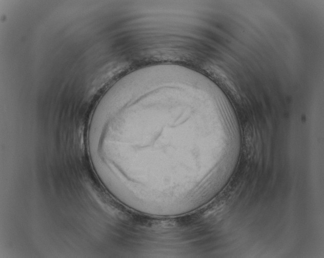 X0000087390398200705181312