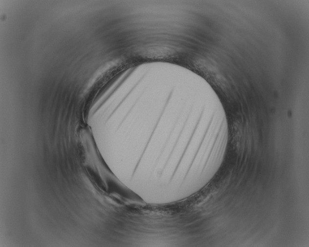 X0000087390400200705181312