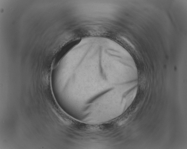 X0000087390405200705181312