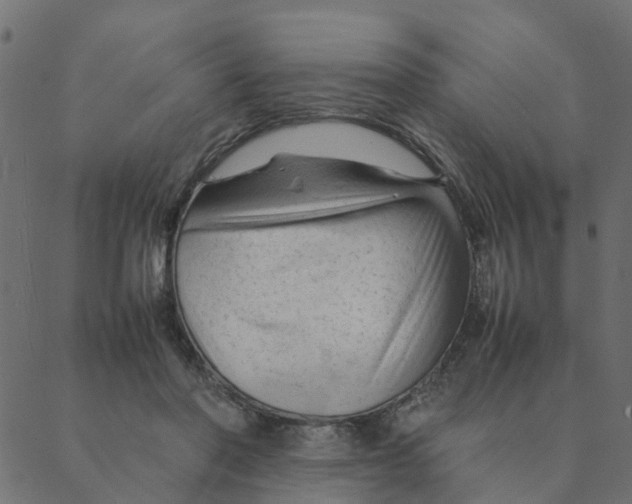 X0000087390406200705181312