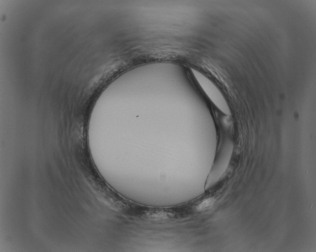 X0000087390407200705181312