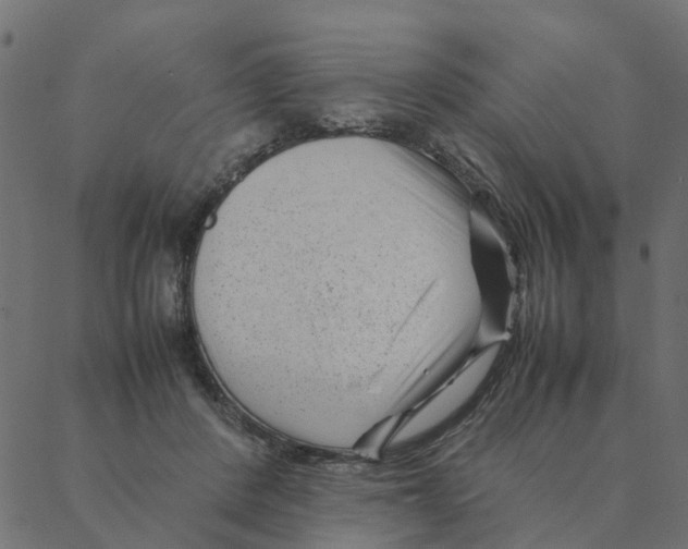 X0000087390408200705181312