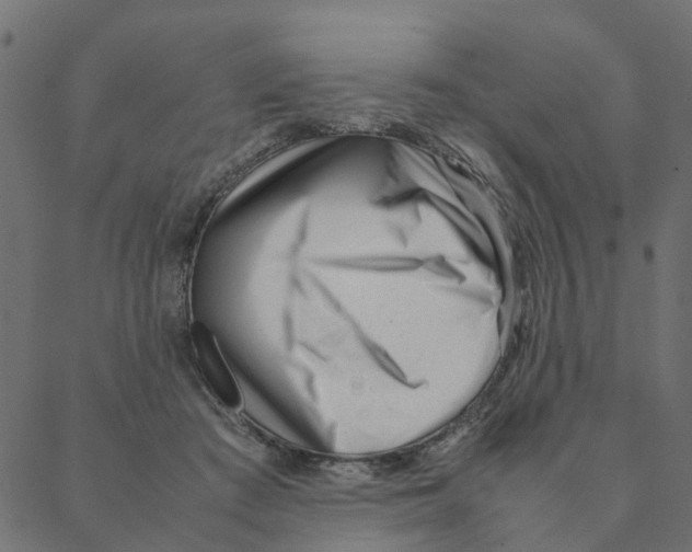 X0000087390409200705181312