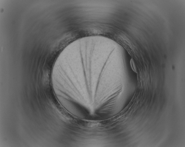 X0000087390410200705181312