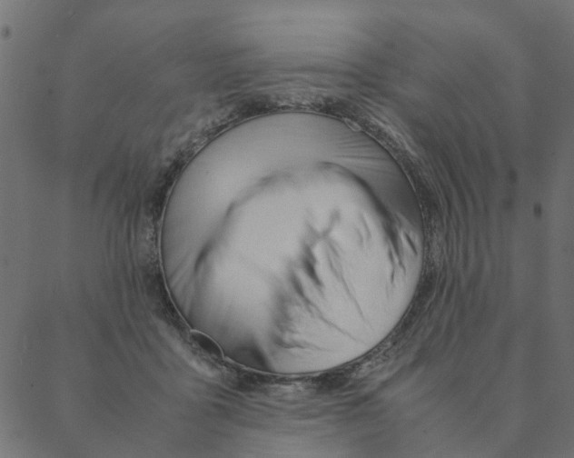 X0000087390411200705181312