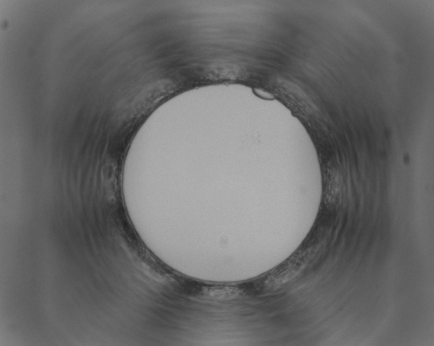 X0000087390414200705181312