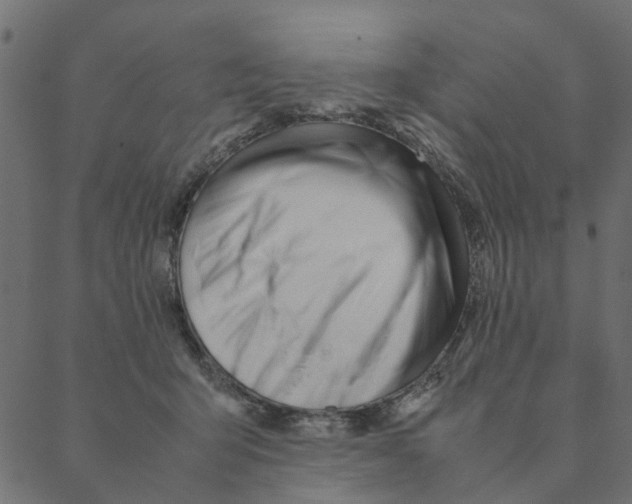 X0000087390415200705181312