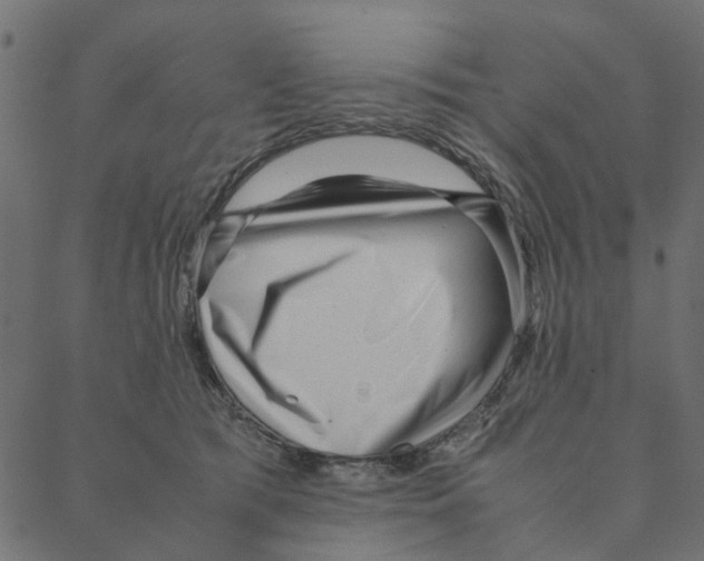 X0000087390417200705181312