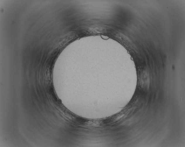 X0000087390418200705181312