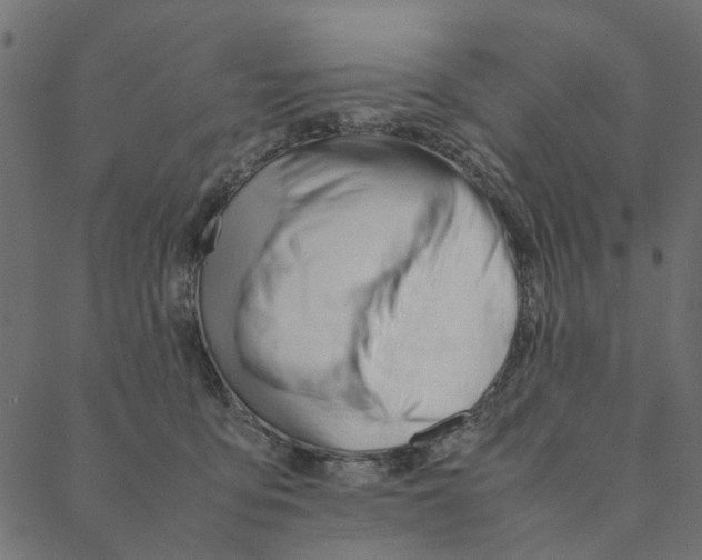 X0000087390419200705181312