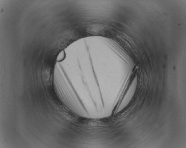 X0000087390420200705181312