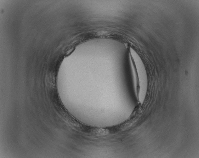 X0000087390421200705181312