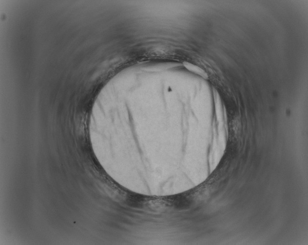 X0000087390423200705181312