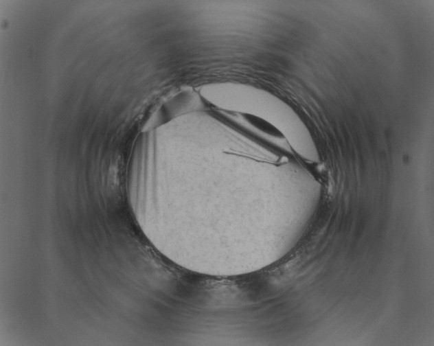 X0000087390424200705181312