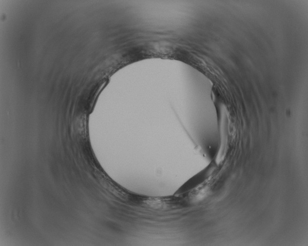 X0000087390425200705181312