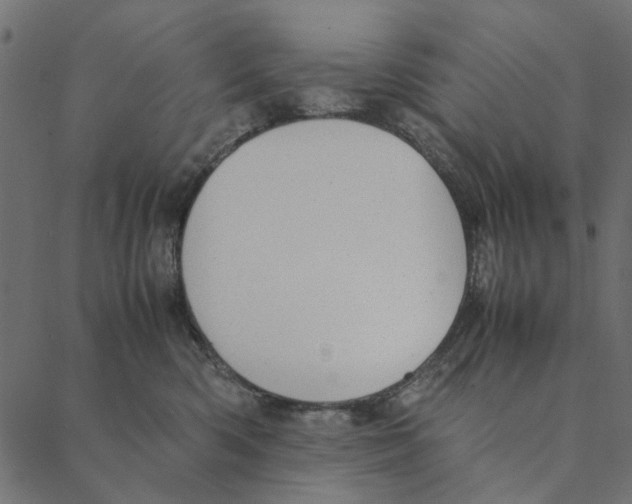 X0000087390426200705181312