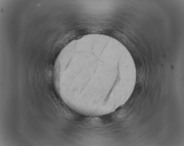 X0000087390427200705181312