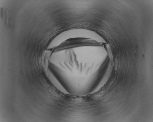 X0000087390428200705181312