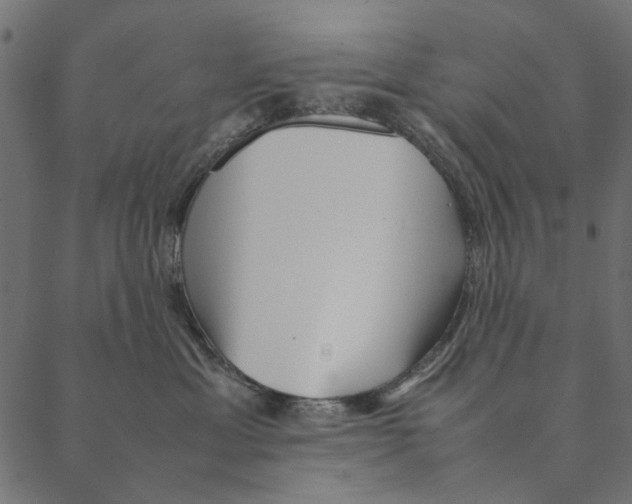 X0000087390429200705181312