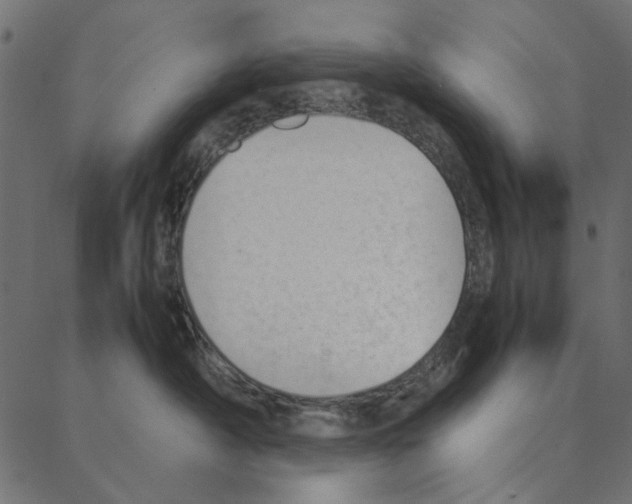 X0000087390430200705181312