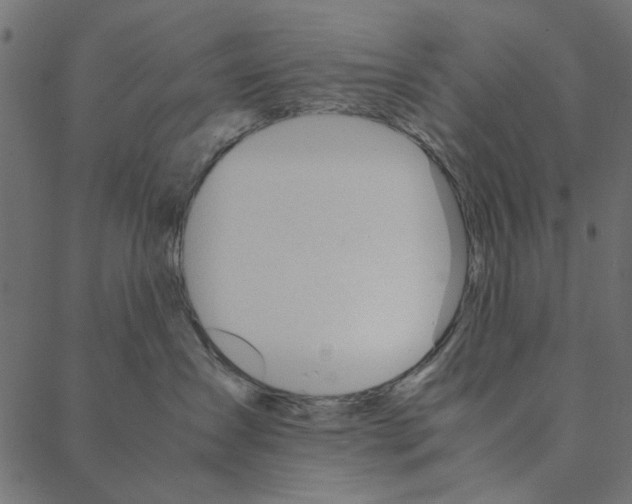 X0000087390431200705181312