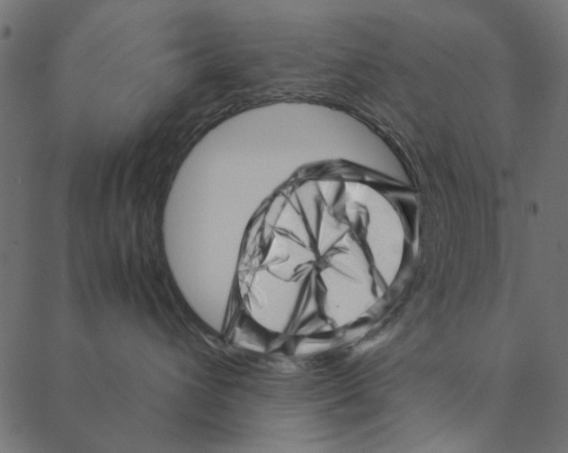 X0000087390432200705181312