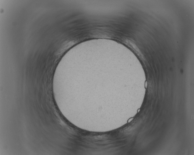 X0000087390433200705181311