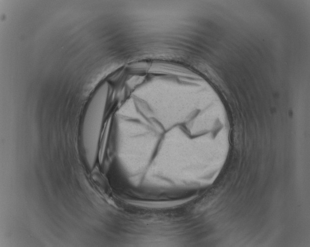 X0000087390434200705181311