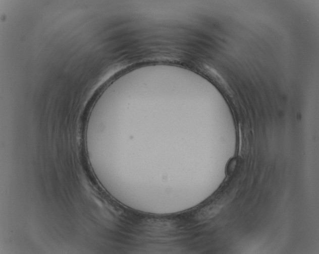 X0000087390435200705181311