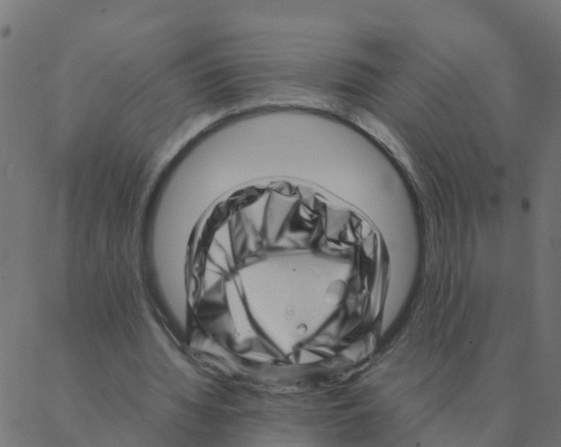 X0000087390436200705181311