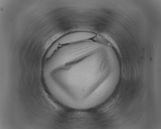 X0000087390437200705181311