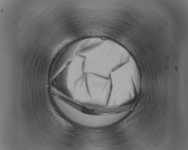 X0000087390438200705181311