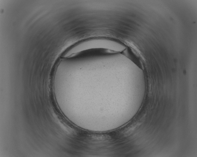 X0000087390439200705181311