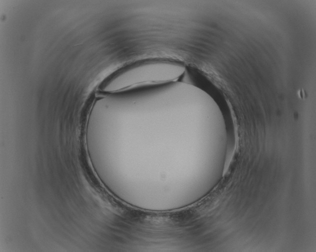 X0000087390440200705181311