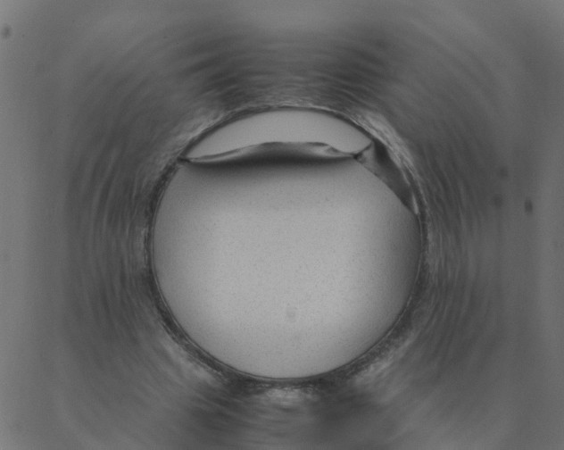 X0000087390441200705181311